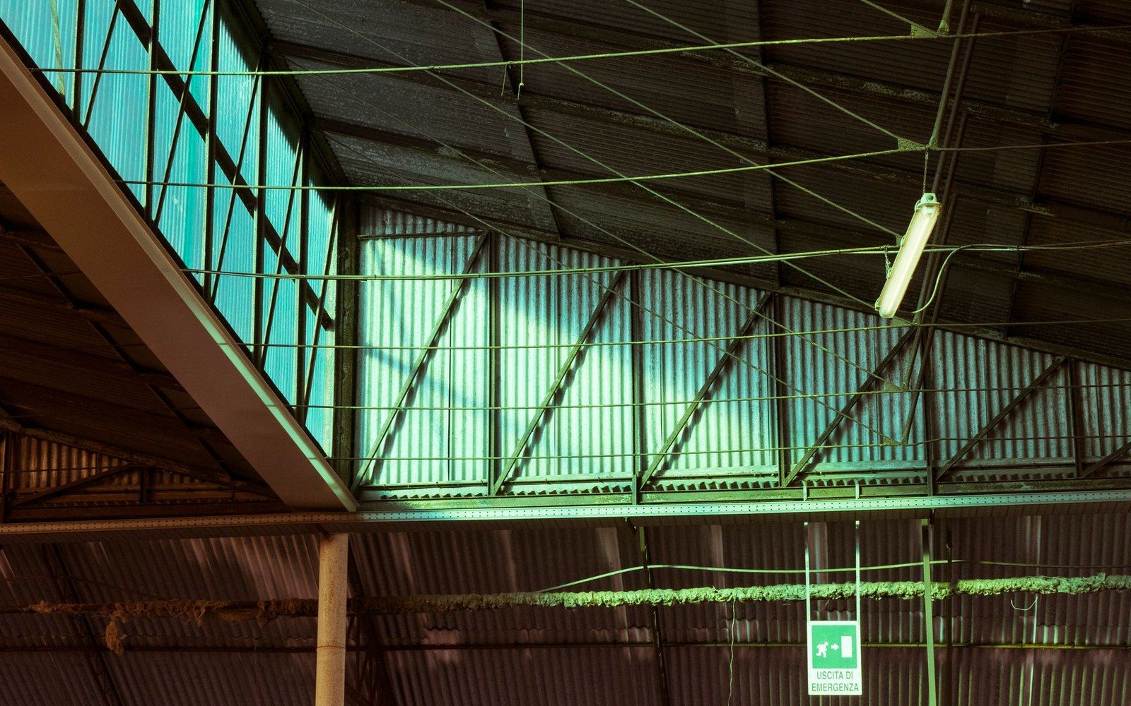 Sunlight streams through corrugated skylights onto steel roof trusses above an emergency exit sign