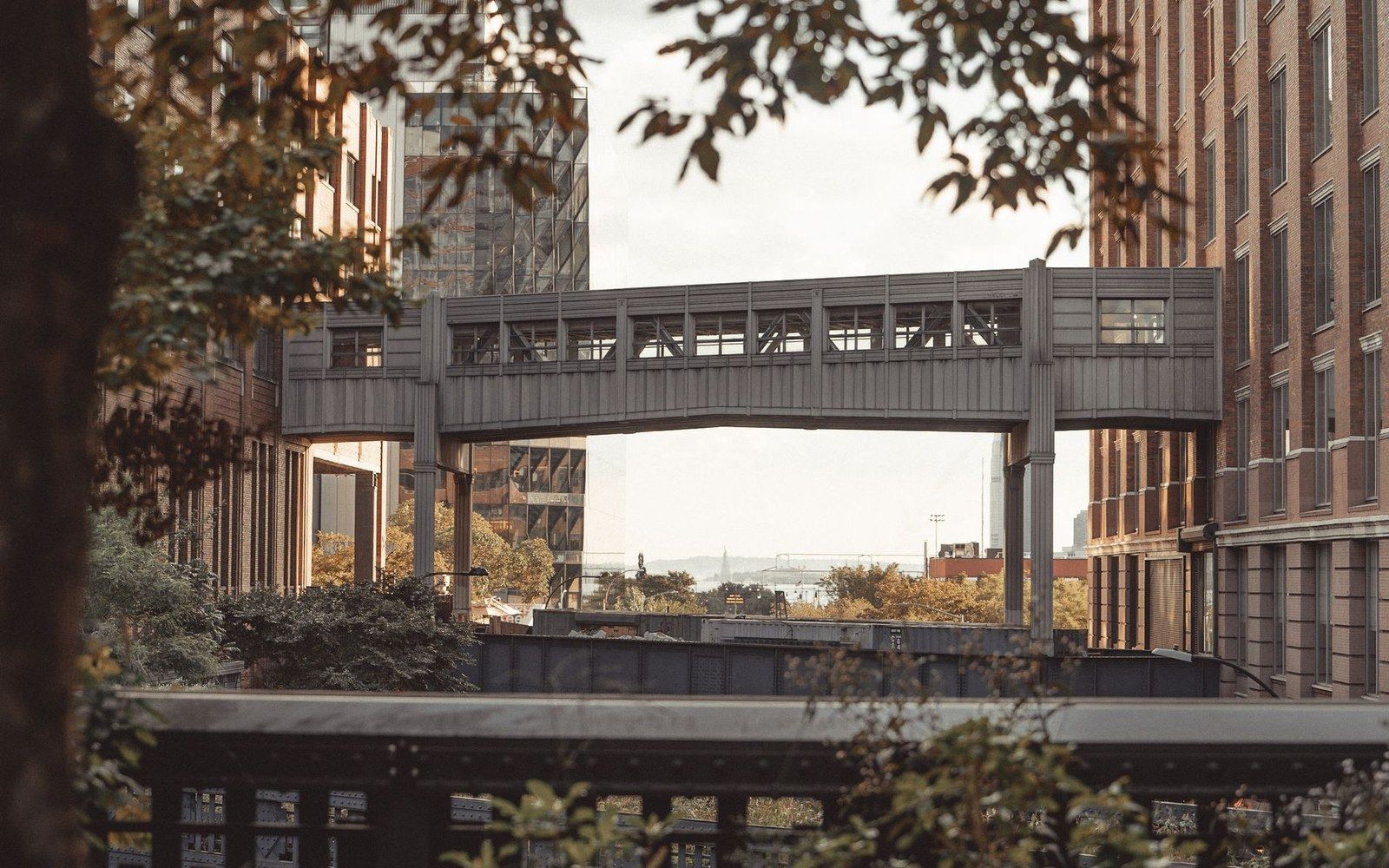 Elevated metal skybridge connects brick buildings above a Chelsea street lined with trees