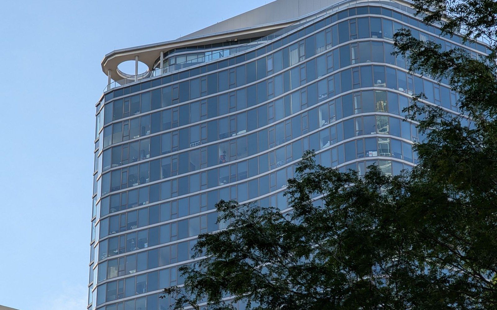 Curved glass high-rise with a rounded rooftop terrace, seen through tree branches